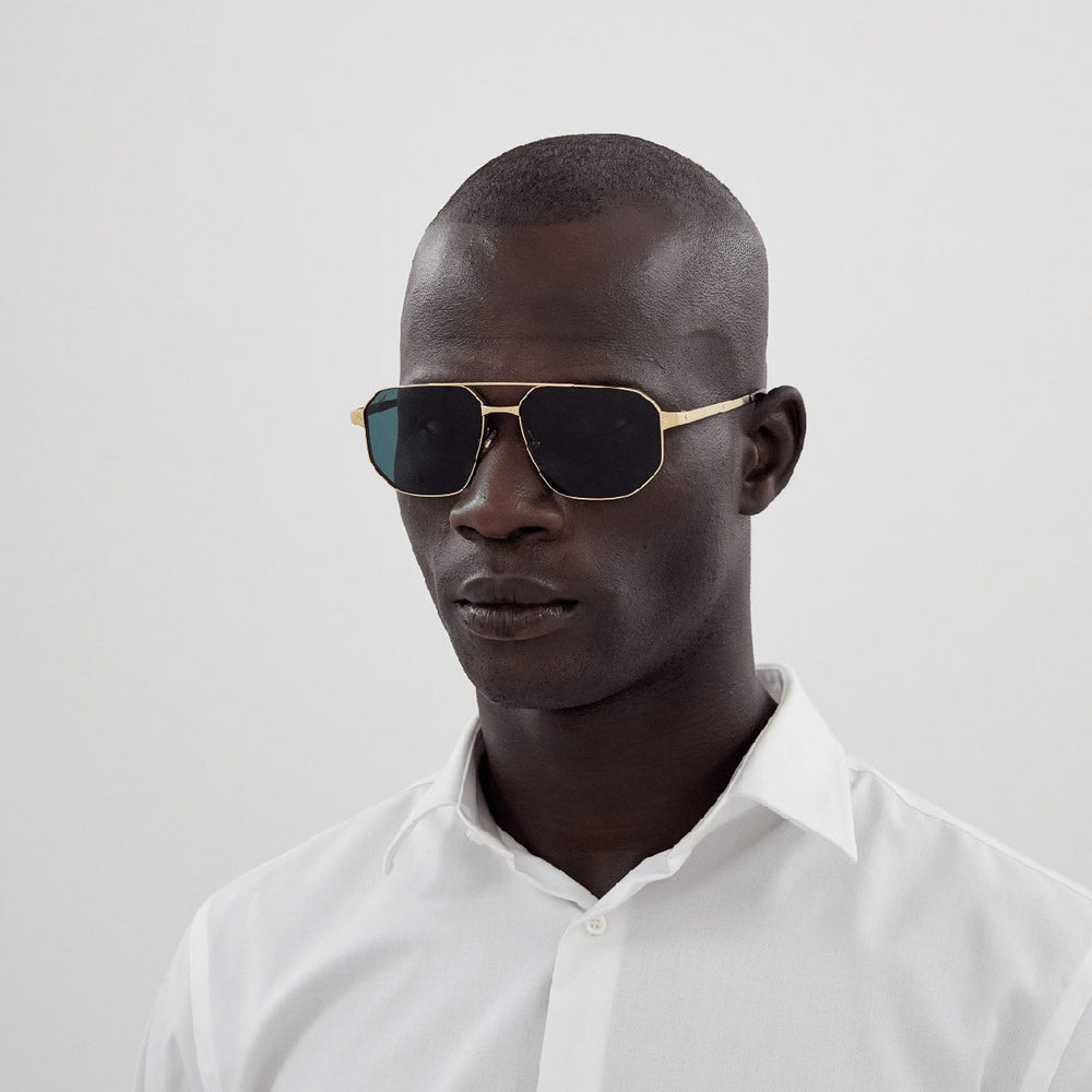 Gafas Cartier CT0462S#color de lente_gris