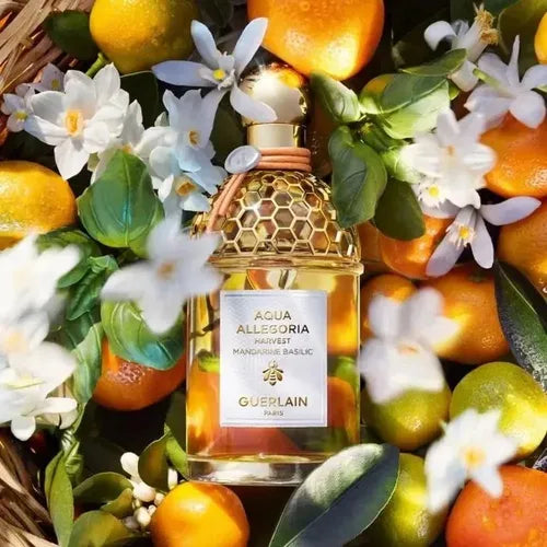 AQUA ALLEGORIA MANDARINE BASILIC HARVEST EDT