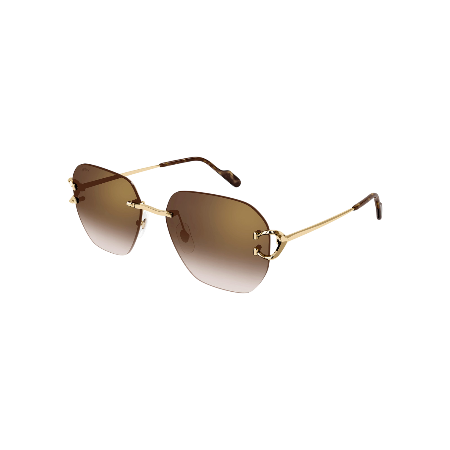 GAFAS DE SOL CT0394S - 00258