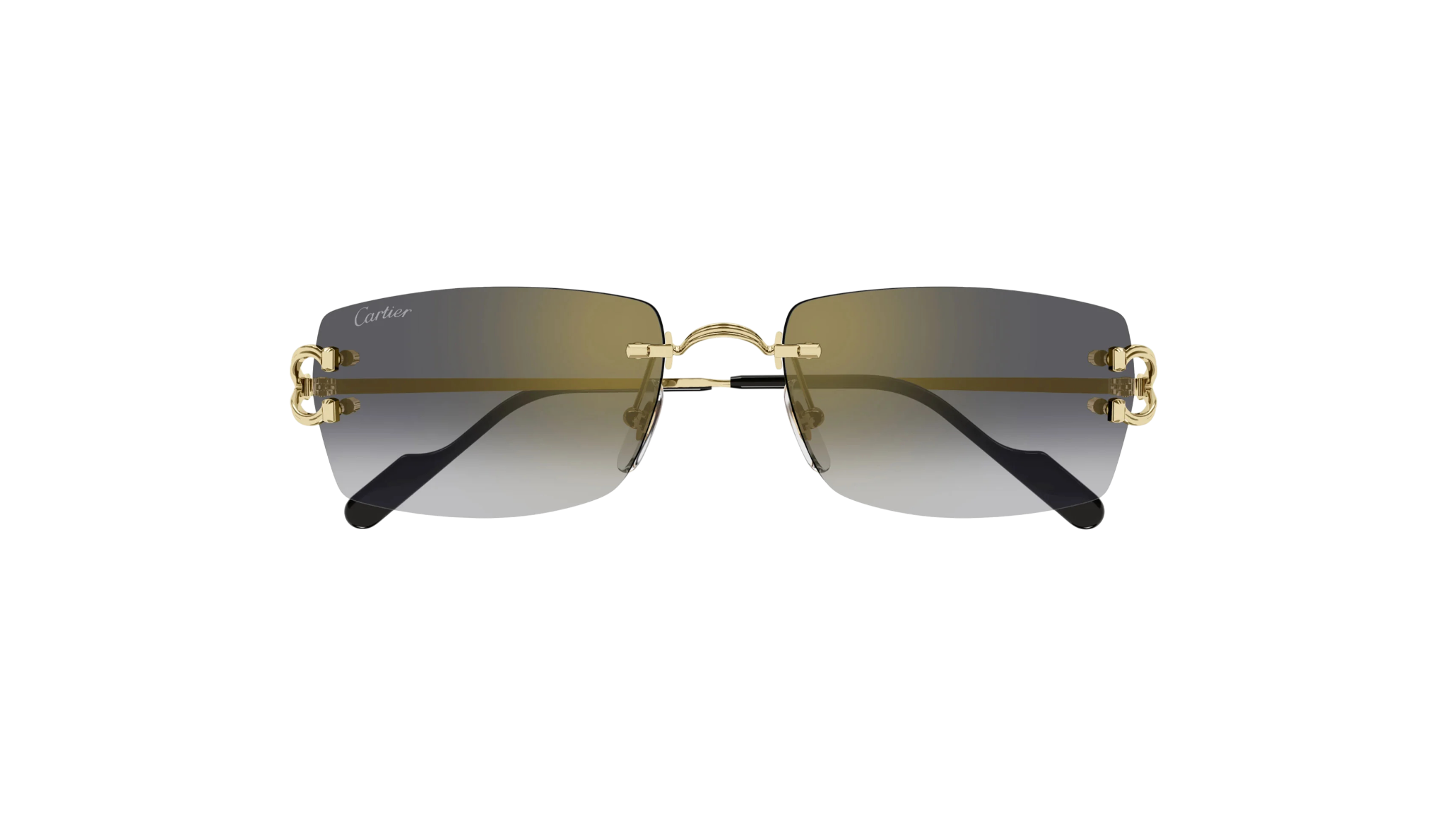 Décor C  CT0550S - 00156 Gafas De Sol Doradas Unisex